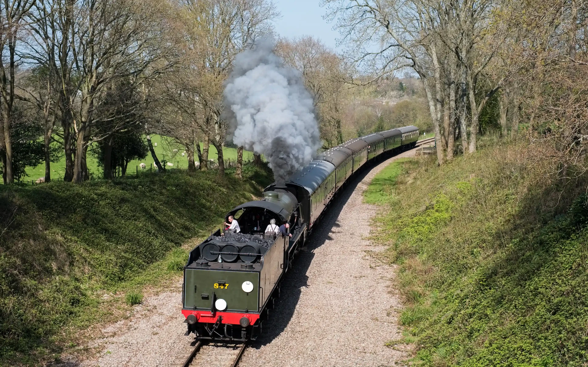 A steam train travelling down the Bluebell Railway in East Sussex.